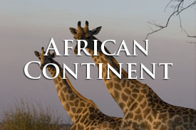 AFRICA_COVER_IMG_9324 - copy_copyright_Rob_Dunton_website_2014